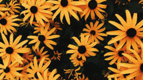 Smalltown Babe @smalltownbabe96 cover picture