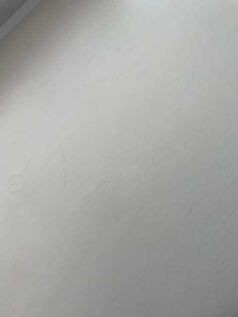 UK lad @sneaker101 cover picture