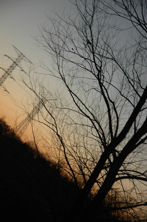 ❄ Koë ❄ [BACKUP] @sneakykoe cover picture