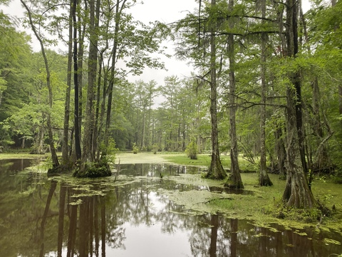 Dany Thompson @snow_bunnyyy cover picture