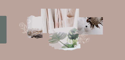 petra @soavocadorable cover picture