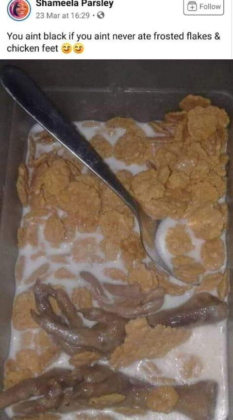 Sofia Duarte @sofiapalmaduarte cover picture