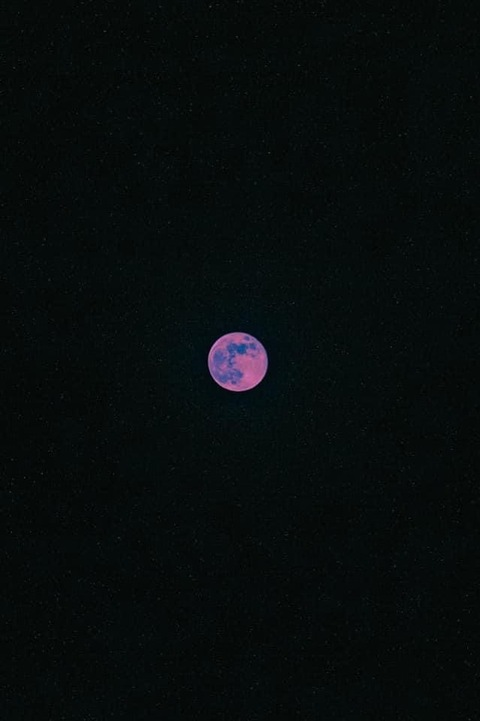 xoxo @softshow cover picture