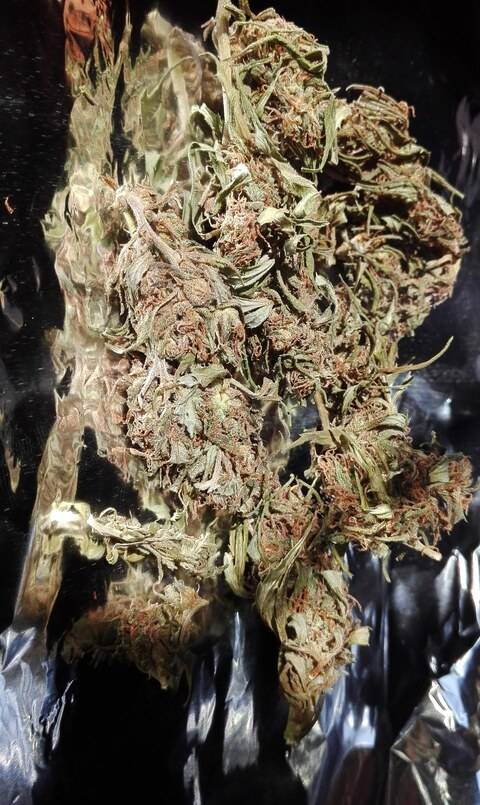 Sol @soleda cover picture