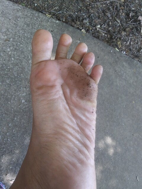 Solesssntoes @solequeen cover picture