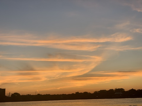 MorphoBlue @solxsoleil cover picture