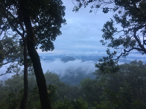 Songsmith @songsmith cover picture