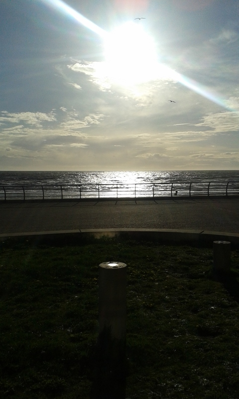 sophaspinx @sophaspinx cover picture