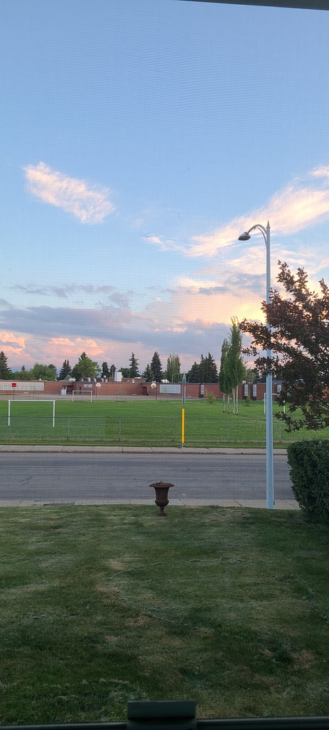 soph @sophielmao cover picture