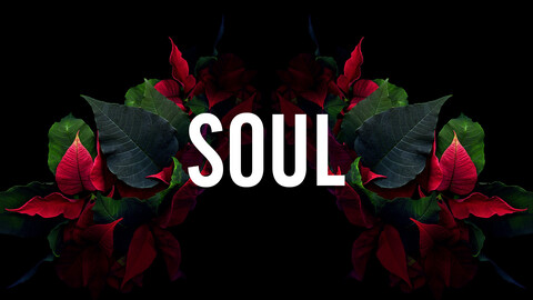 Alexander @soulreaper09 cover picture