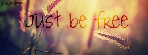 Southern Belle @southernbelle16 cover picture