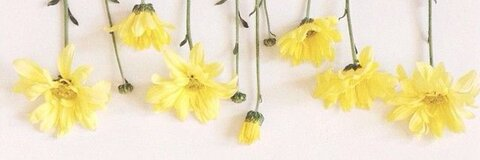 k @southernbellekeh cover picture