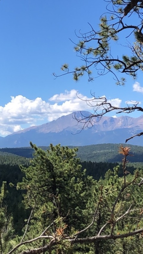 Southern Momma @southernmomma14 cover picture