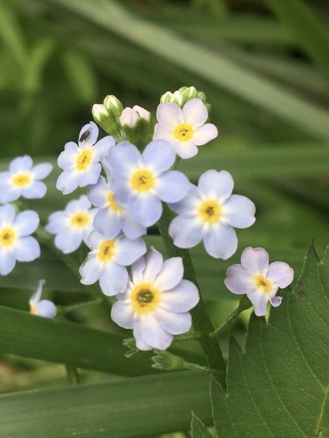 Space Bunny @spacebunny cover picture