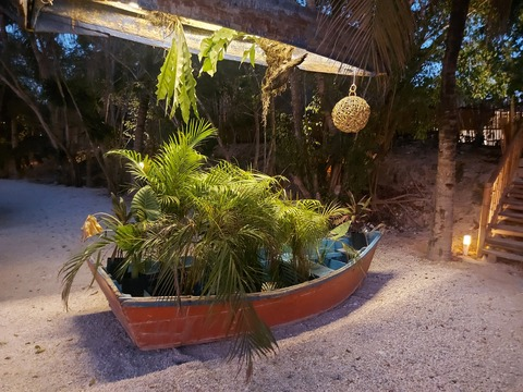 Sofia Fernández @spicyy.latinaa cover picture