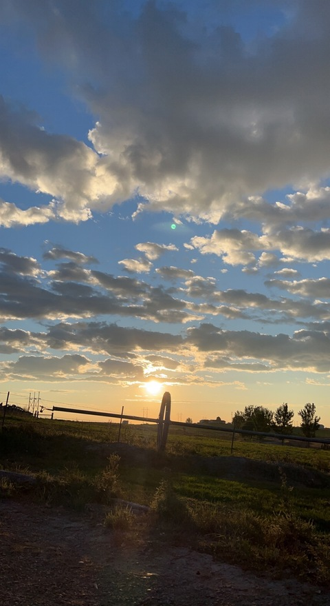 pepper🍑 @spicyypepper cover picture