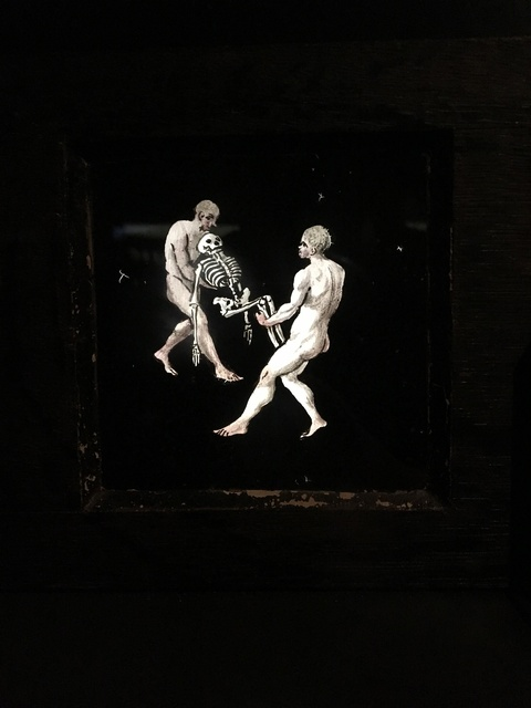 Alisa @spiderkiy cover picture