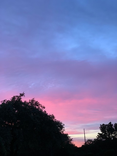 SpaceCowboy @spike_spiegel00 cover picture