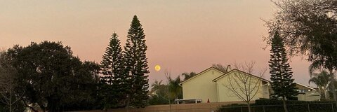 v🕷 @spitlikeascorp cover picture