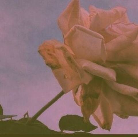 Mía Teixeira @spookyan cover picture