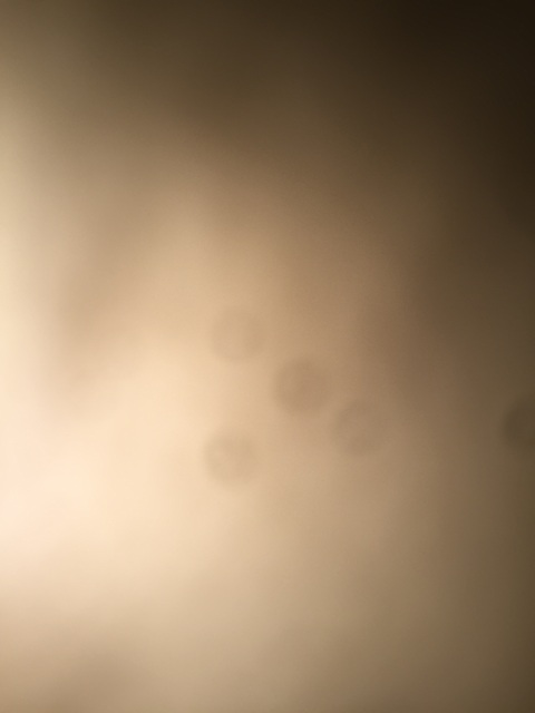 Spoopy Boi @spoopyboi101 cover picture