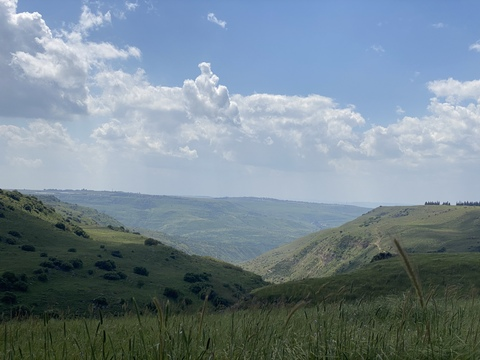 spsrunner @spsrunner cover picture