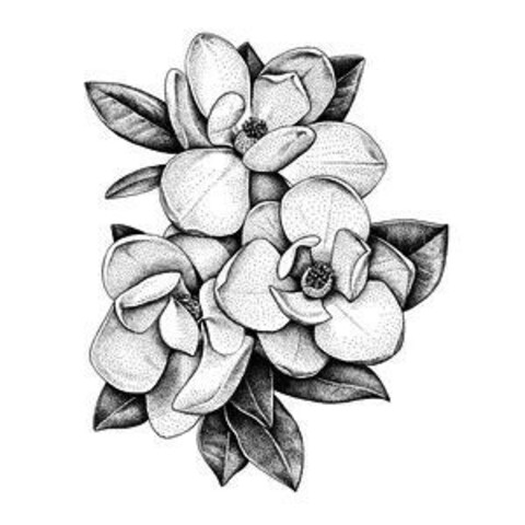 Will @squirrelofodin cover picture