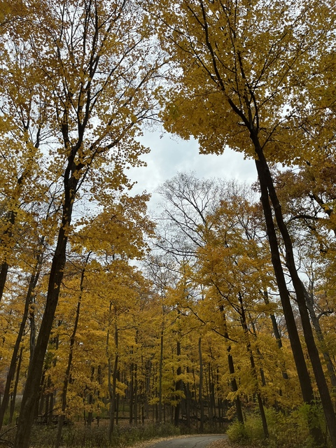 SquishyBooty @squishybooty cover picture