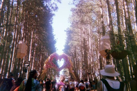 Star @stardustxx44 cover picture