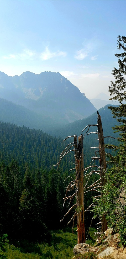 Staypuff @staypuff_ cover picture