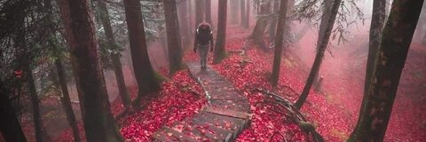 Jesse @steampunk_skull cover picture