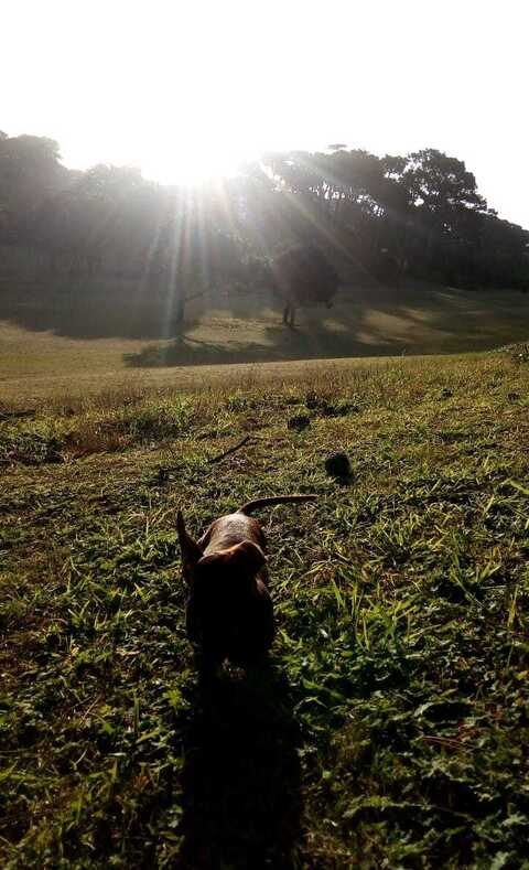 stephanie @stefiiiiii cover picture