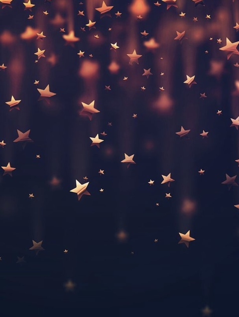 StephC @stephc cover picture