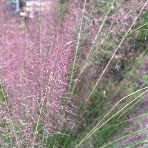 Stevie @stevi3xxx cover picture