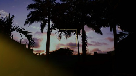 Sthela @sthela cover picture