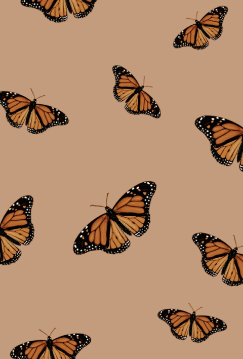 Stina @stinaaarom cover picture