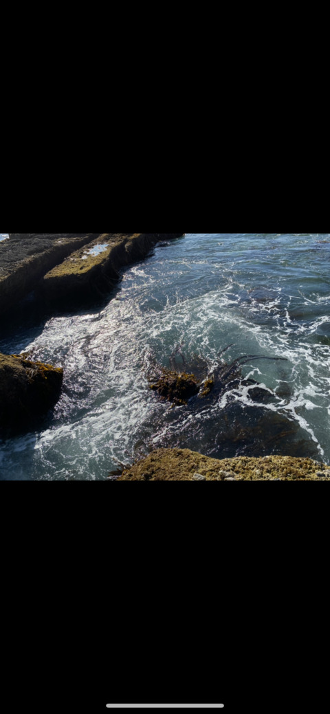 Sunshine☀️ @stoner69babe cover picture