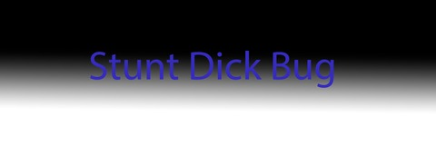 StuntDickBug @stuntdickbug cover picture