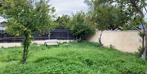 Mel @suburbanprncess cover picture