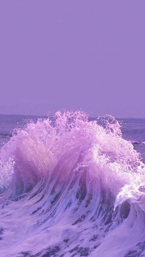 Sugar_iceberg @sugar_iceberg cover picture