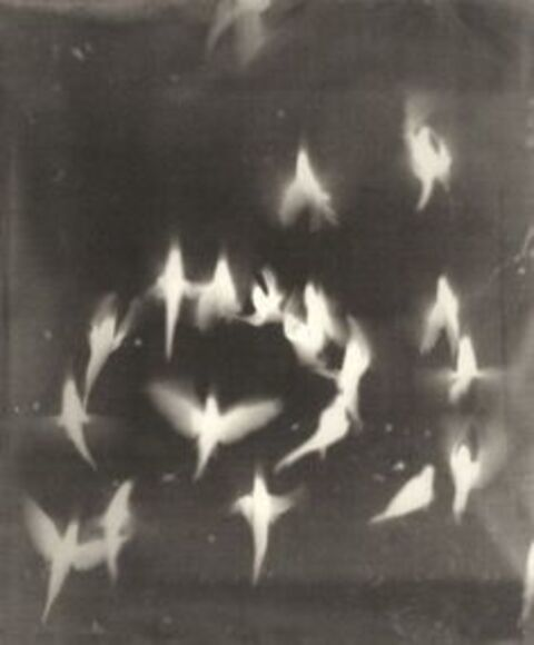 noel @suicideboys cover picture