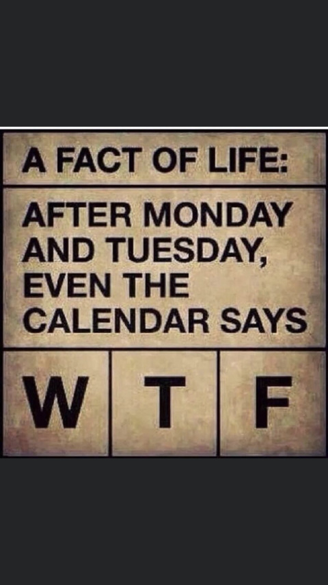 Summer @summer42 cover picture