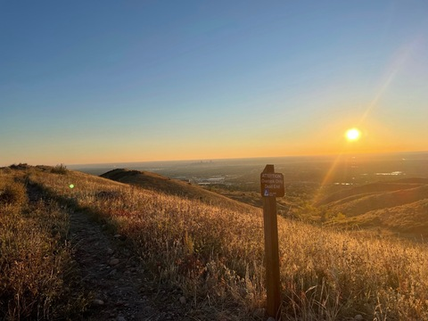 Lila @summittits cover picture