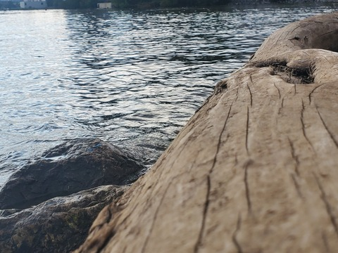 Sun Goddess @sungoddess1992 cover picture