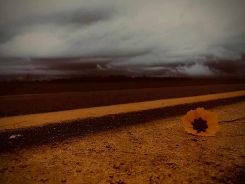 Yvette @swampbaby cover picture