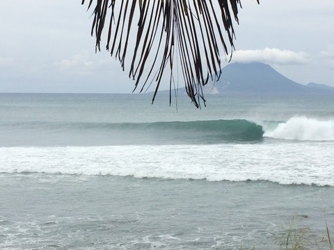 swavo @swavo cover picture