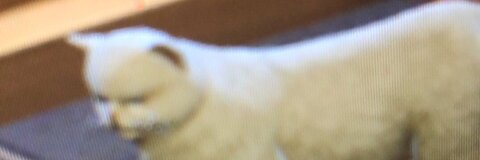 generous fools gold @sweet77 cover picture