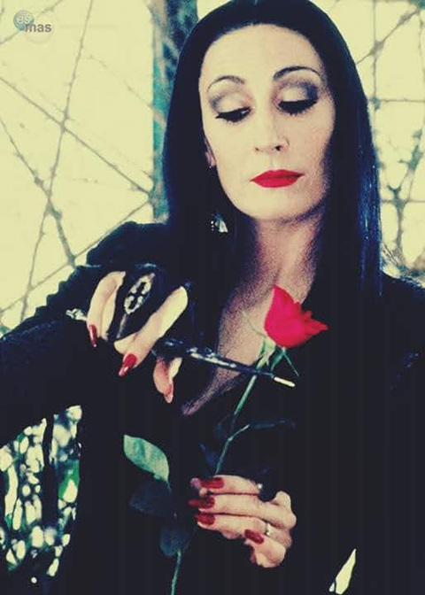 Lucy @sweetbaby_lulu cover picture