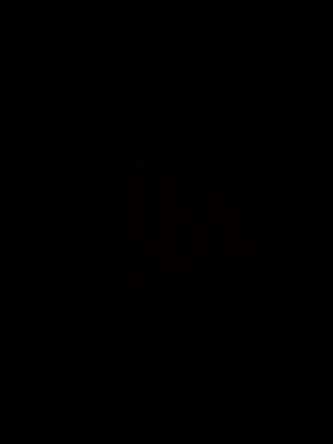 sweet baby @sweetbabyxo cover picture