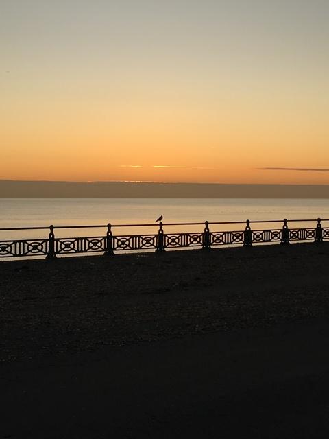 SweetCinnamonBun @sweetcinnamonbun cover picture